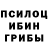Галлюциногенные грибы Cubensis Ibratjon Shomurotov