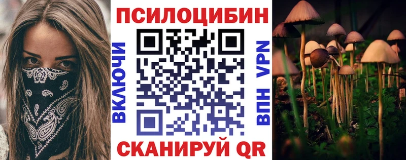 Галлюциногенные грибы GOLDEN TEACHER  hydra сайт  Партизанск 